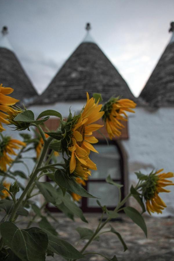 Masseria Ferri Ostuni Exteriér fotografie
