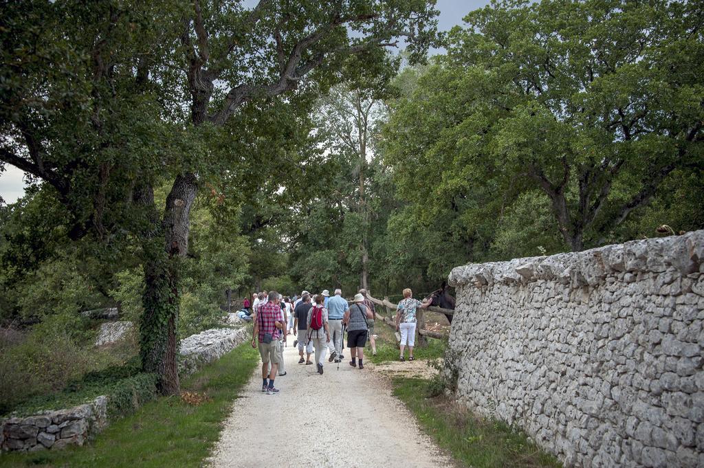 Masseria Ferri Ostuni Exteriér fotografie