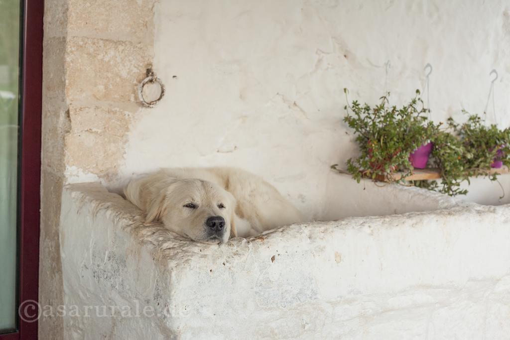 Masseria Ferri Ostuni Exteriér fotografie